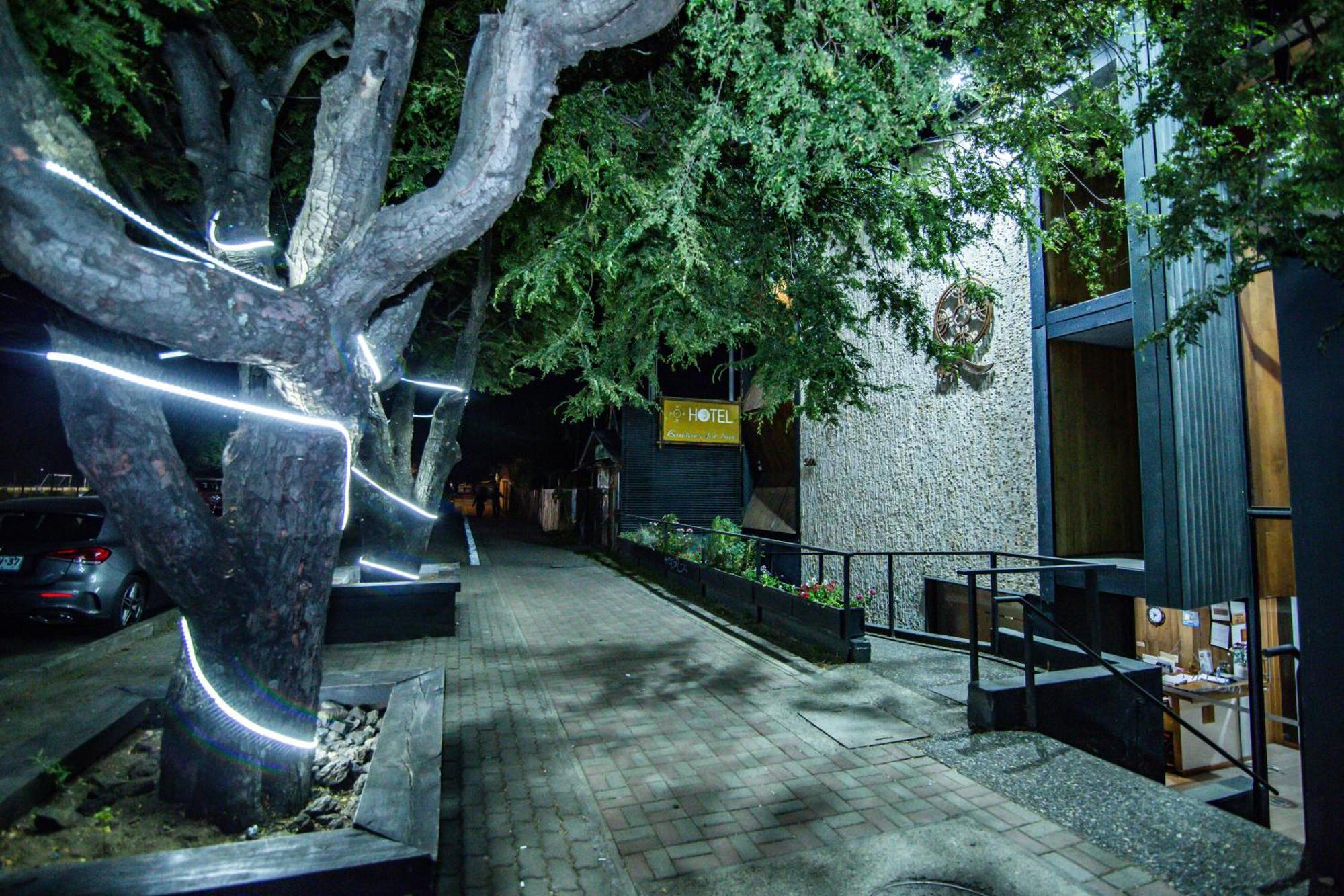 Hotel Cumbres Del Sur Pucón Dış mekan fotoğraf